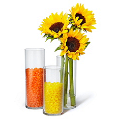 fillable cylinder centerpieces