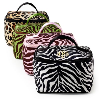Zebra Train Case