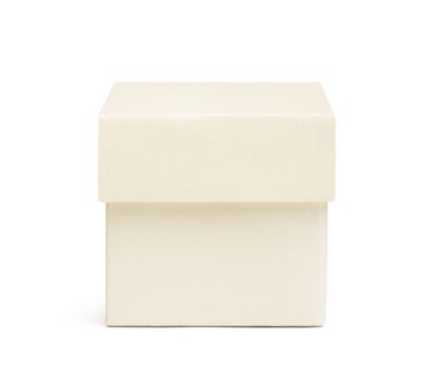 square favor boxes - ivory shimmer