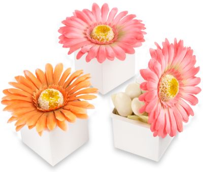 Daisy Delight Gerbera Daisy Favor Box